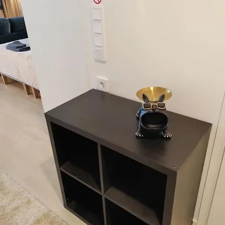 公寓 Keskustan Tyylikkaein Omalla Autopaikalla